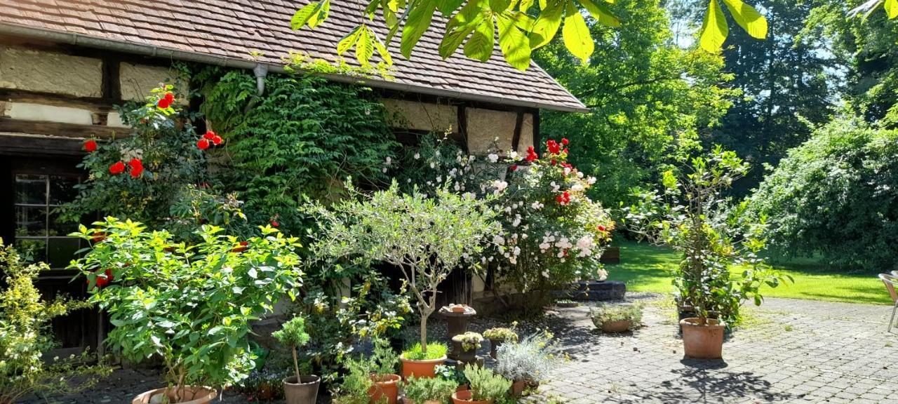 Villaflora Gaestehaus Riedlingen Buitenkant foto