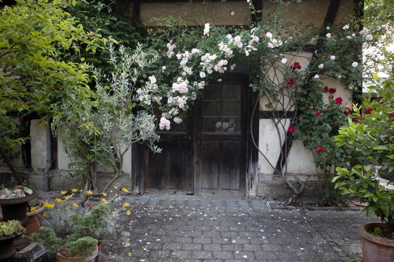 Villaflora Gaestehaus Riedlingen Buitenkant foto